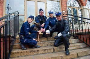 policjanci z psem służbowym na schodach