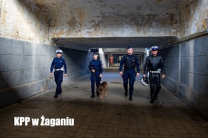 policjanci różnych służb oraz pies służbowy